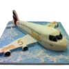 Tort avion pasageri-0
