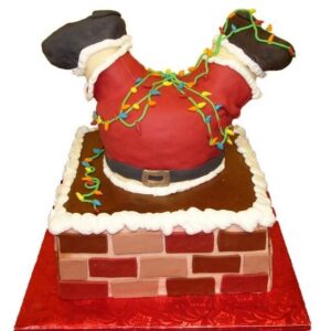 Tort mos craciun in vizita